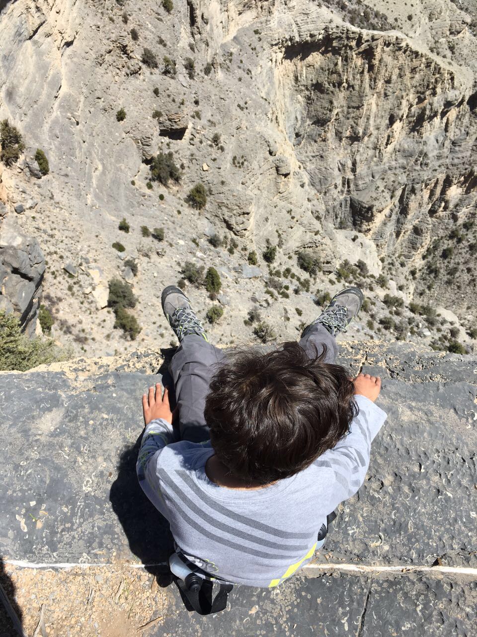What The Mountain Taught Us